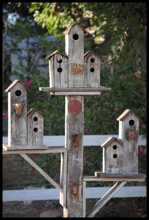 pin  bird houses ideas