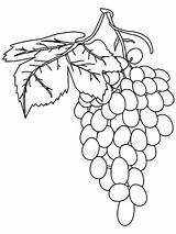 Coloring Pages Grapes Grape Fruits Printable sketch template