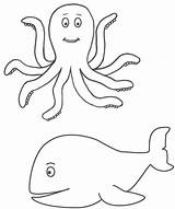 Octopus Whale Coloring Pages Kids Sea Fish Clipart Print Template Rainbow Color Marine Aubs Birthday Library Boy Bigactivities Activity sketch template