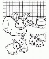 Coloring Bunny Pages Cute Print sketch template