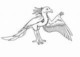 Microraptor Gliding sketch template
