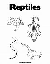 Reptiles Coloring Preschool Reptile Pages Printable Kids Activities Twistynoodle Kindergarten Worksheets Worksheet Sketchite Animal Snake Pre School Saferbrowser Yahoo Turtle sketch template