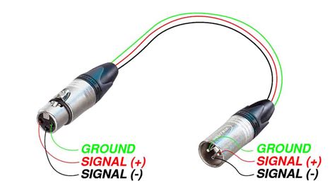 audio connector guide xlr   mm speakon rca  audio university