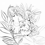 Skissar Blommor Fleurs Abbozzo sketch template