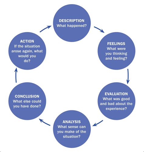 driscoll model  reflection  nursing case study   reflective