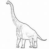 Diplodocus Coloring Pages Tall Standing Netart Drawing sketch template