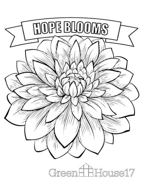easy senior coloring pages coloring pages