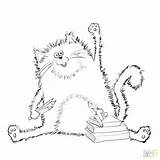 Cat Coloring Calico Pages Tabby Getdrawings Getcolorings sketch template