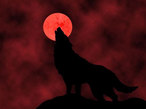 cool blood wallpapers gallery