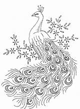 Peacock Peacocks Iron Name sketch template