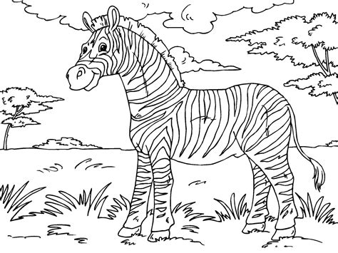 malvorlage zebra kostenlose ausmalbilder zum ausdrucken bild