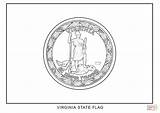 Virginia Flag Coloring State Pages Printable Flags Color Designlooter Drawing 1020px 1440 97kb Popular sketch template