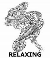 Relaxing Coloring Pages Adults Sheets Print Topcoloringpages Category sketch template