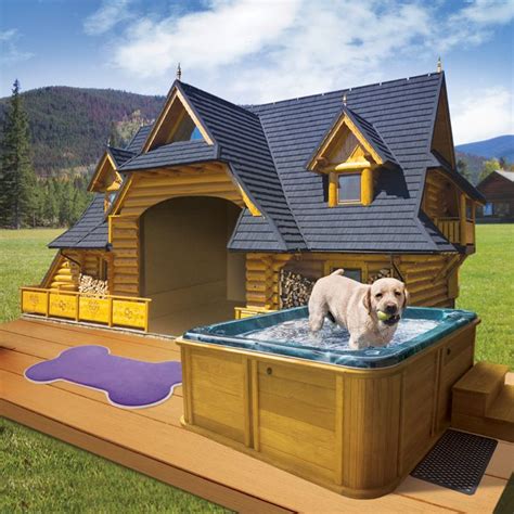 luxury dog houses nicer   house