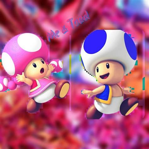 Blue Toad And Toadette Mario Odyssey Amino