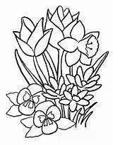 Coloring Pages Easter Flowers Getdrawings sketch template