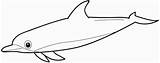 Zeedieren Dolfijn Dauphin Delfiny Delfino Colorare Delfini Disegni Dieren Kolorowanki Animals Zo Colouring Dolphin Colorier sketch template