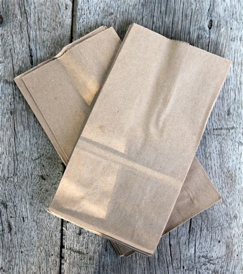 mini brown paper bags iucn water