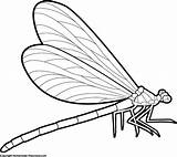 Dragonfly Clip Clipart Drawing Outline Line Cliparts Coloring Pages Insect Side Clipartpanda Library Template Clipartmag Clipartix Designs Collection Wings Insertion sketch template