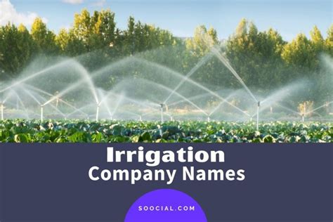 catchy irrigation company  ideas soocial