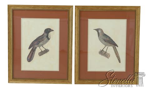 lfec pair large framed matted colored bird prints ebay