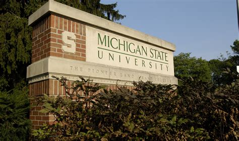 msu awards  seed funding  autism research projects msutoday