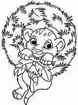 Simba Coloring Pages Baby Medium Hyena Lion King Printable Spotted Disney Christmas Getcolorings Color Comments Adult Coloringhome Little sketch template