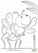 Insect Coloring Cartoon Pages Stick Walking Insects Paper sketch template