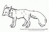 Coloring Fox Pages Arctic Popular Coloringhome Comments sketch template