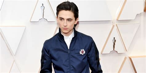 Twitter Thinks Timothée Chalamet Looks Like Anything But An Oscar