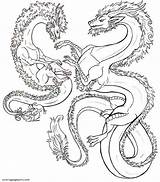 Hydra Fantastiques Adulte Dragons Colorear Fantasticos Drachen Coloriages Ausmalen Fabeltiere Fantastici Animali Kraken Ausmalbild Dragones Fantásticos Adultes Relajante Erwachsene Antiestrés sketch template