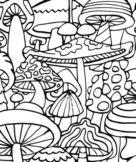 mushroom coloring pages  coloring pages  kids