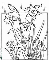 Coloring Spring Pages Flowers Flower Printable Kids Rainy Drawing Adults Sheets Pretty Book Rain Clipart Colouring Color Colors Print Tulip sketch template