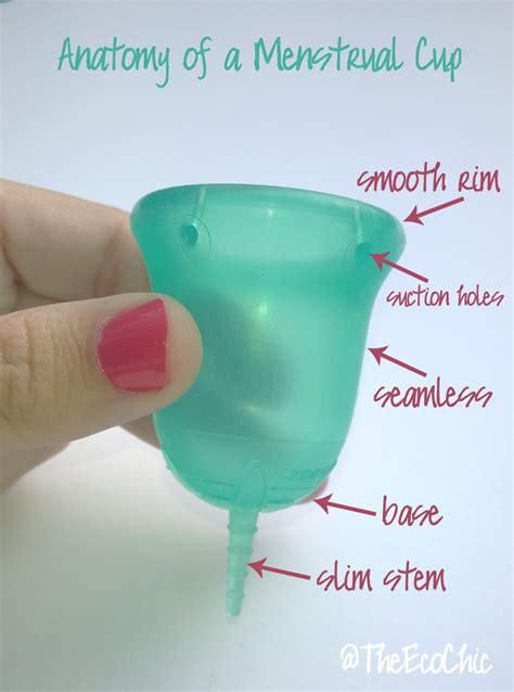 menstrual cup 101 from tampon to menstrual cup sckoon