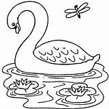 Lago Colorare Bambini Disegni Cigno Swan sketch template