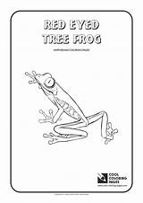 Coloring Red Tree Frog Eyed Whale Sperm Pages Cool Print sketch template