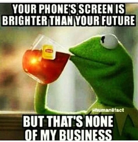 kermit the frog but that s none of my business tho pinterest