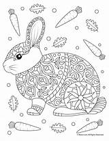 Adults Rabbits Woojr Mandala Woo sketch template