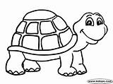 Coloring Turtle Pages Kids Print sketch template
