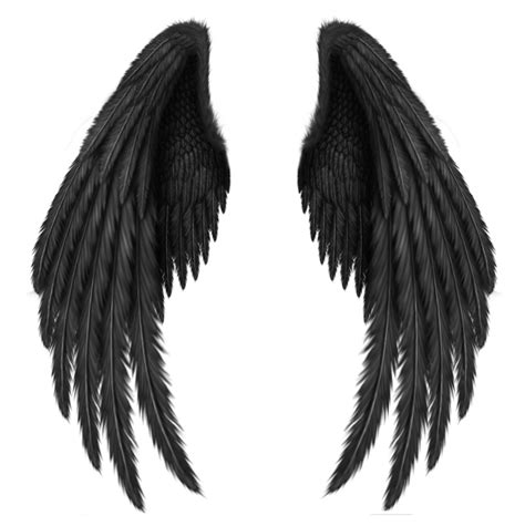 black wings png image purepng  transparent cc png image library