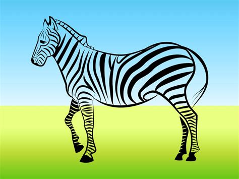 zebra outline vector art graphics freevectorcom