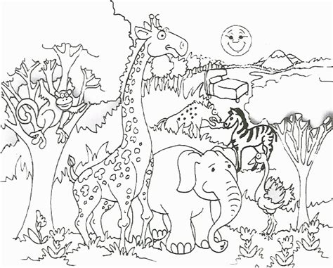 jungle animals coloring pages  coloring home