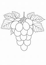 Grapes Coloring Pages Grape Color Kids Template Print sketch template