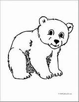 Bear Coloring Cub Sun Pages Designlooter Colouring Polar Lovely Color sketch template