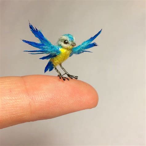 pin   miniature birds  animals