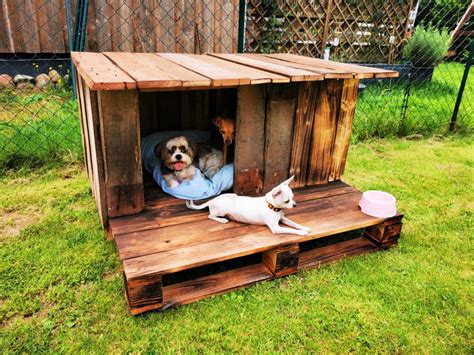 diy pallet dog house plans diy