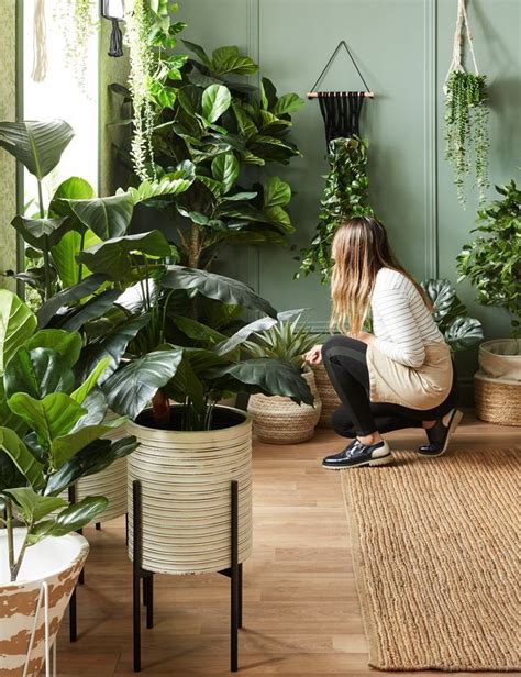 pin  marusyaart  urban jungle room  plants house plants