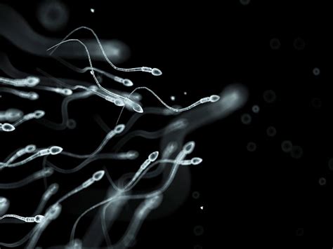 lower sperm counts don t mean the reproductive apocalypse — yet vox