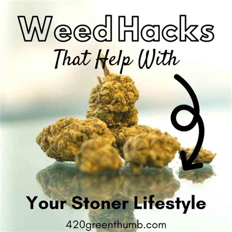weed hacks     stoner lifestyle