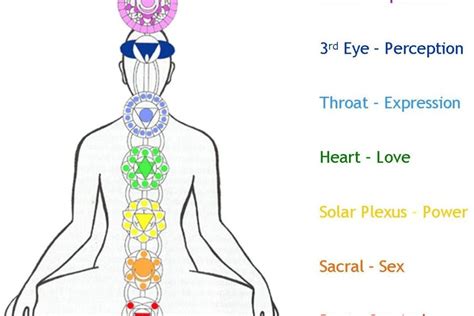 The Human Body Energy Centers The Seven Chakras Fit Lotus